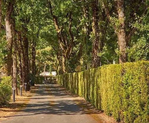 Mobil Cosy 5 Personnes Proche Du Puy Du Fou *